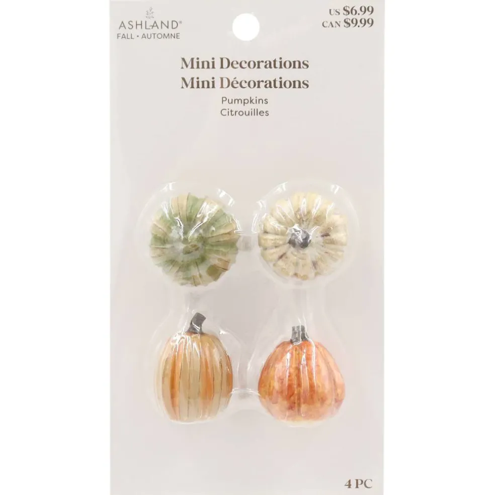 Mini Pumpkins, 4ct. by Ashland®