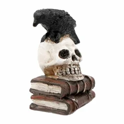Mini Raven on Skull Books by Ashland®
