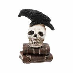 Mini Raven on Skull Books by Ashland®