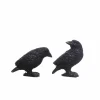 Mini Ravens, 2ct. by Ashland®
