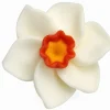 Mini Royal Icing Narcissus Flowers – Edible Spring Cake & Cupcake Decorations, 6 Count