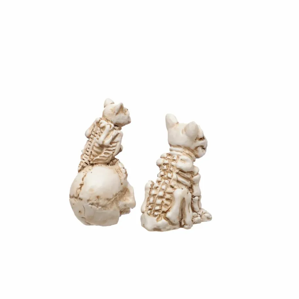 Mini Skeleton Dog & Bird by Ashland®