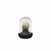 Mini Skull & Books Cloche by Ashland®