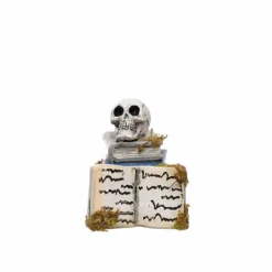 Mini Skull on Book by Ashland®