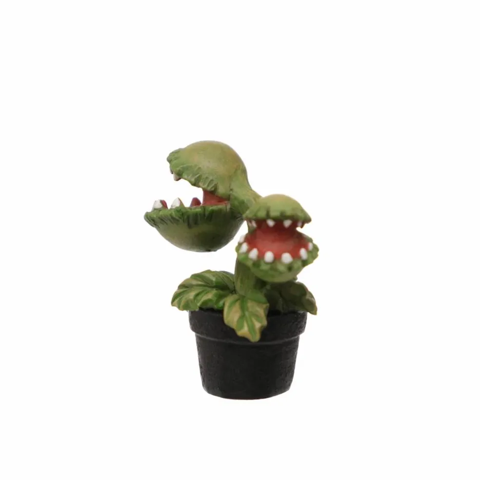 Mini Venus Flytrap by Ashland®