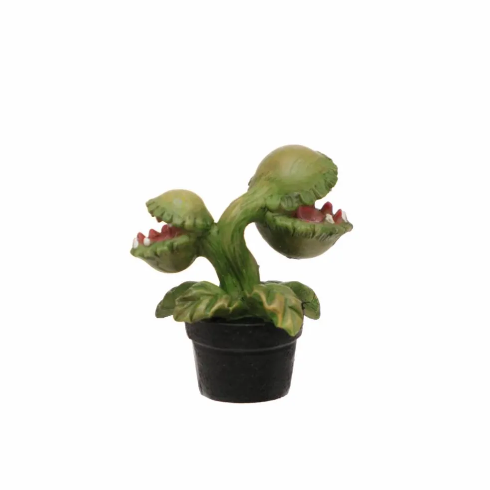 Mini Venus Flytrap by Ashland®