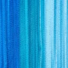 Mixed Blue Chenille Pipe Cleaners, 25ct. by Creatology™