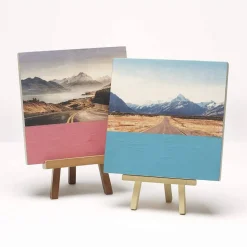 Mod Podge® Foam Brush Set