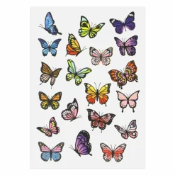 Multiple Butterfly Direct to Film Transfer by Make Market®