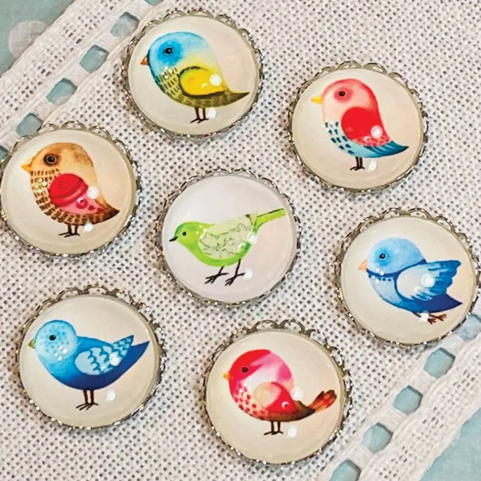 My Big Toe Designs Rockin Robin Needle Minder Set Accessory