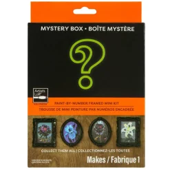 Mystery Dark Flower Paint-by-Number Framed Mini Kit by Artist's Loft®
