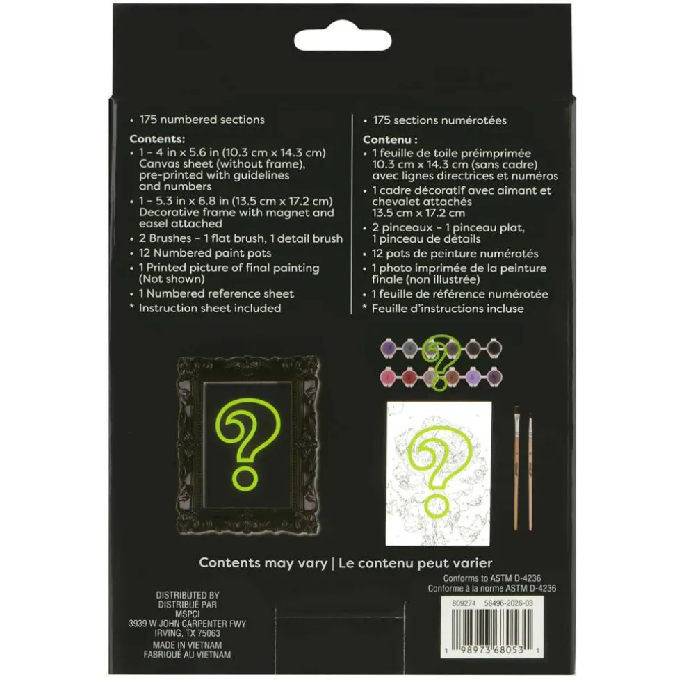 Mystery Dark Flower Paint-by-Number Framed Mini Kit by Artist's Loft®