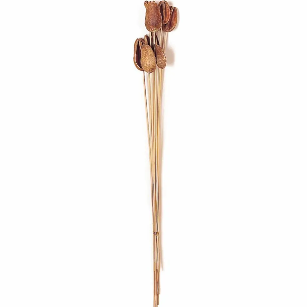 18" Natural Botanical Benzo Fruit Slice Bunch, 4ct.