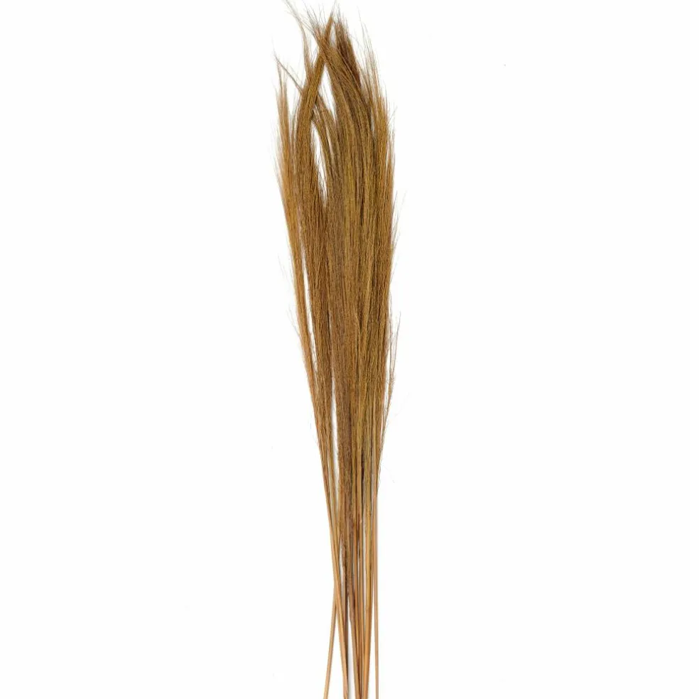 32" Natural Broom Grass Bunches, 6ct.