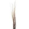 Natural Curly Willow by Ashland®