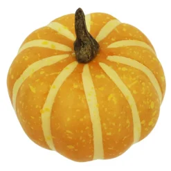 Natural Decorative Gourds, 12ct. by Ashland®