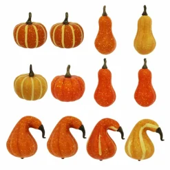 Natural Decorative Gourds, 12ct. by Ashland®