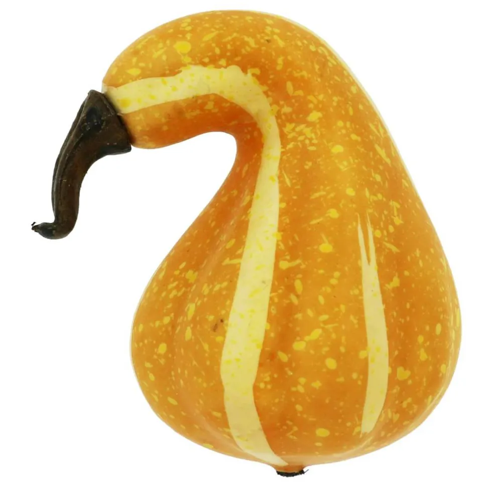 Natural Decorative Gourds, 12ct. by Ashland®