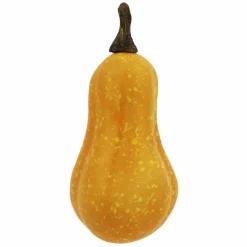 Natural Decorative Gourds, 12ct. by Ashland®