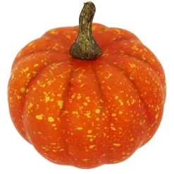 Natural Decorative Gourds, 12ct. by Ashland®