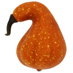 Natural Decorative Gourds, 12ct. by Ashland®