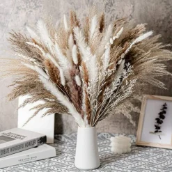 Natural Dried Pampas Grass Boho Home Decor Dried Flowers Bouquet Floral Home Decorations Reed Grass