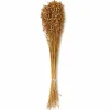 25" Natural Lino Flax Décor Grasses, 6ct.