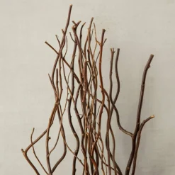 Natural Tall Curly Willow by Ashland®