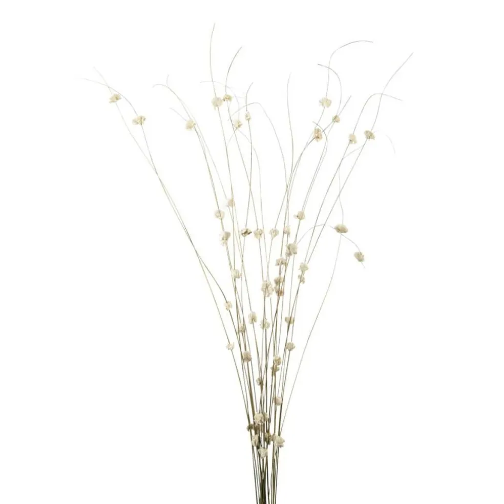 Natural Ting Bunches with Sola Flowers