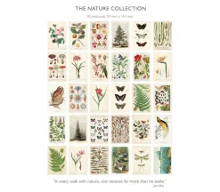 Nature Collection Postcard Set: Pack of 30 Retro Style Botanical, Nature and Ephemera Postcards by Wintertime Crafts