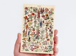 Nature Collection Postcard Set: Pack of 30 Retro Style Botanical, Nature and Ephemera Postcards by Wintertime Crafts