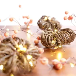 Nature Rattan Pumpkin Lights - 10FT 30 LED Cozy Fall Garland with Lights Battery Operated Charming Thanksgiving Decorations with Remote - Ideal Thanksgiving Garland Fall Decorations for Home
