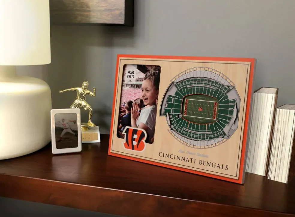 NFL 3D StadiumViews Picture Frame