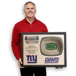NFL 25 Layer StadiumView Wall Art