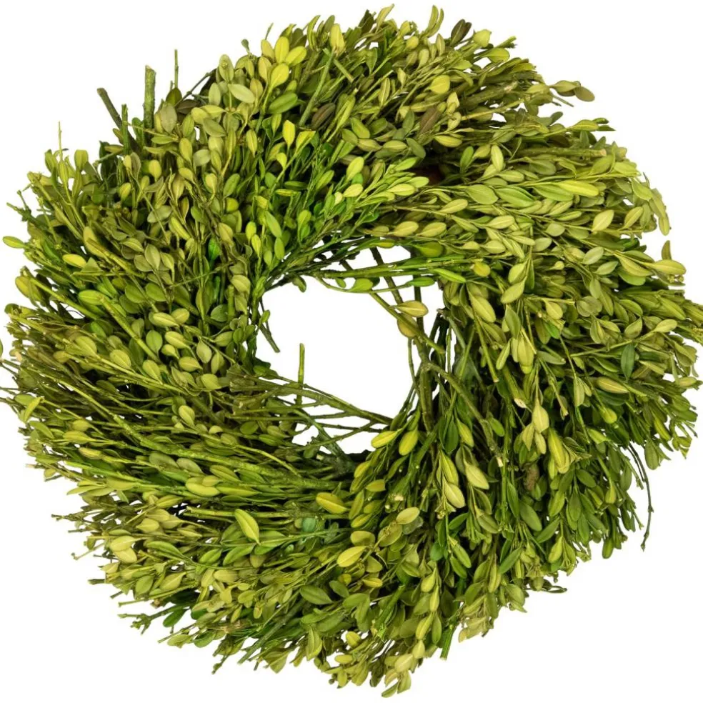 Northlight Green Foliage Artificial Spring Wreath - 10" - Unlit