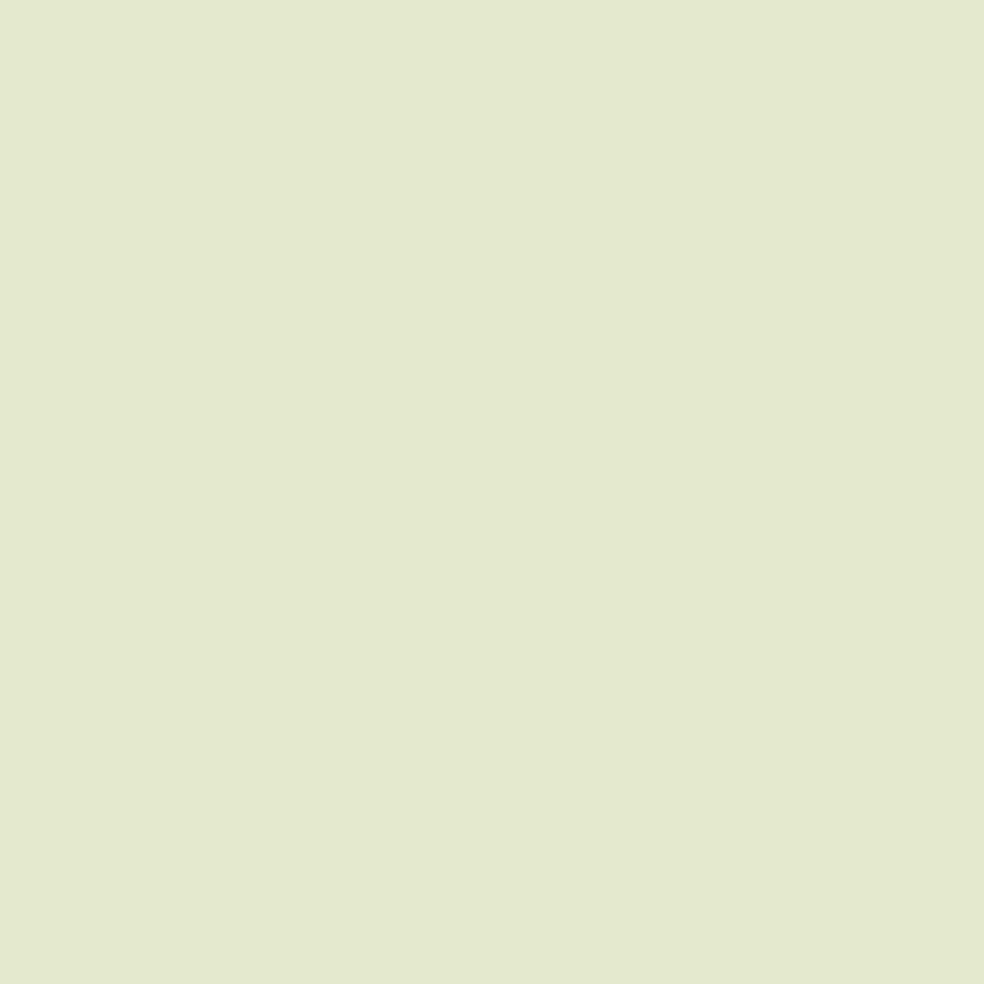 Ohuhu® Honolulu B Brush & Fine Dual Tip Marker