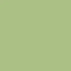 Ohuhu® Honolulu B Brush & Fine Dual Tip Marker