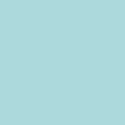 Ohuhu® Honolulu Brush & Chisel Dual Tip Marker