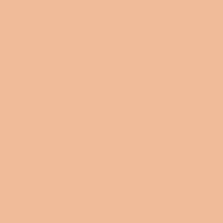 Ohuhu® Honolulu Brush & Chisel Dual Tip Marker