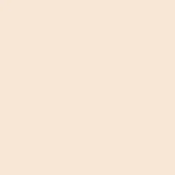 Ohuhu® Honolulu Brush & Chisel Dual Tip Marker