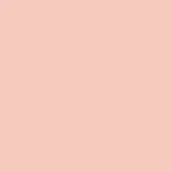 Ohuhu® Honolulu Brush & Chisel Dual Tip Marker