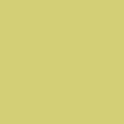 Ohuhu® Honolulu Brush & Chisel Dual Tip Marker