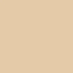 Ohuhu® Honolulu Brush & Chisel Dual Tip Marker