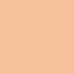 Ohuhu® Honolulu Brush & Chisel Dual Tip Marker