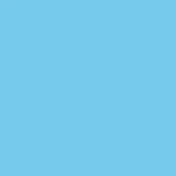 ORACAL® 631 Removable Vinyl