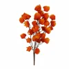 19" Orange Chinese Lantern Bush by Ashland®