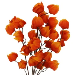 19" Orange Chinese Lantern Bush by Ashland®