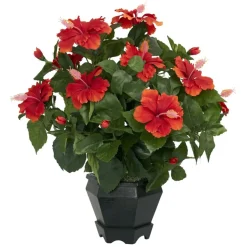 20" Orange Hibiscus with Black Hexagon Vase