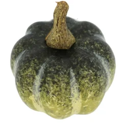 Orange, Yellow & Green Decorative Pumpkins, 14ct. by Ashland®