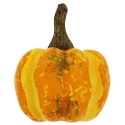 Orange, Yellow & Green Decorative Pumpkins, 14ct. by Ashland®